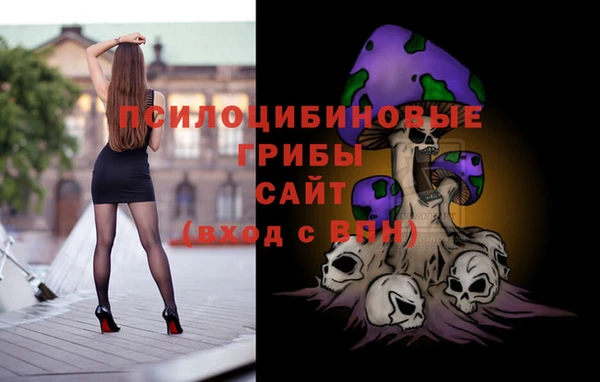 шишки Армянск