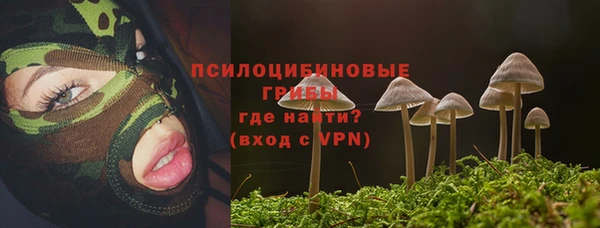 амф Аркадак