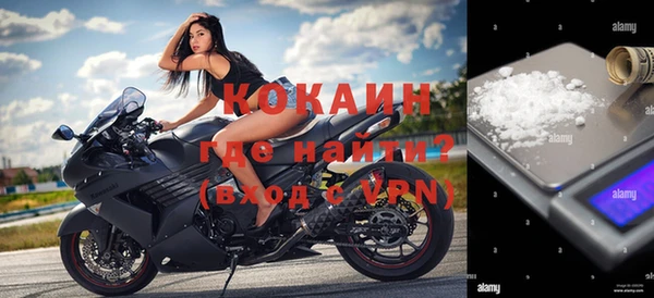 шишки Армянск