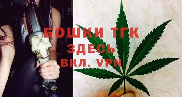 амф Аркадак