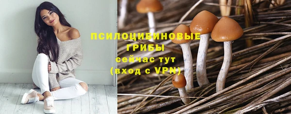 амф Аркадак